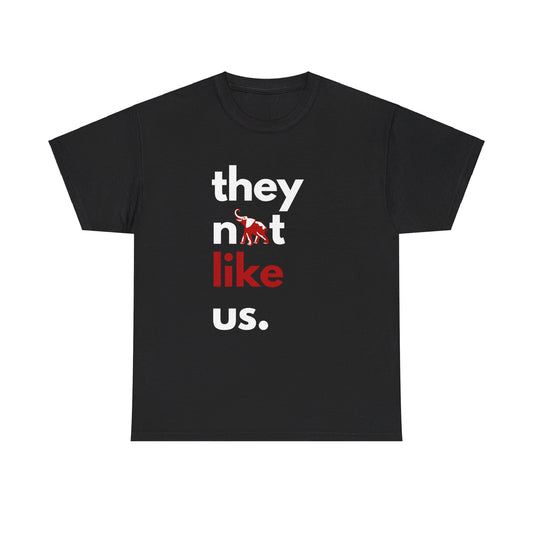 They Not Like Us - Delta Sigma Theta